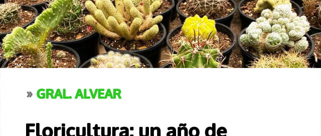 Floricultura: un año de crecimiento y consolidación en Misiones
